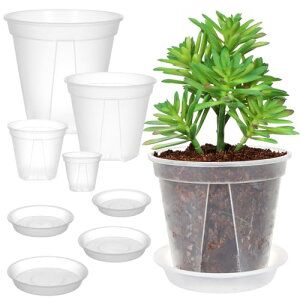 BESTOYARD Aؔ  Xbg ϗtA  4Zbg  vX`bN Mt 4+5+6+7