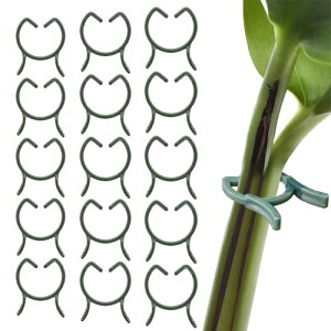 PAVIKE m ApNbv 60 AxNbv |Nbv ڂ؃Nbv xUNbv ϋv ͔| ėp\ K[