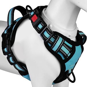 2025ŐV^n[lXBaoCheng p ^/^/^n[lX p h~ A^}ʂ P݌y TCY