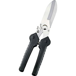 RWbg DIY ړI }`͂ nT~ eS~ p