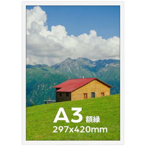 Serwrsw z A3 y ʐ^ |X^[ A[g tHgt[ Ǌ| 29.7x42cm zCg 1