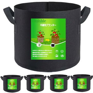 sDzv^[ ͔| z Aؔ sDz|bg 10K5 40cm×30cm 13 36bg y ƒ؉ 