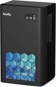 Ausfly �����@ ���^ ���͏��� ������ 2L��e�� ��15���Ή� �����ʍő�1000ml/�� ����������~ ���C��� �ߗފ����@ ��������