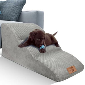 Masthome  Ki X[vKi hbOXebv pXebv 3ivX i ybgp Xebv Ki ~ p  X