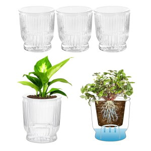 Phyxiul �������� �v�����^�[ 4�Z�b�g�ϗt�A�� �� ��ʋ����� �A�ؔ� �����R�t�� ���O ���� ���A�� �n�[�u �ԍ͔| ���|�p�i ����