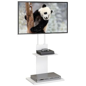 WLIVE erX^h Ǌ TVX^h Ǌ| er  tvX^h LX^[t px] Ǌ񂹃er ߉\