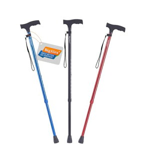 rOANXiBigAlexjXebL  LkXebL Lk y A~ \ sx ԎUibhj 1 x 1