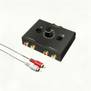 RCAXeII[fBIXCb`[ R/L I[fBIZN^[ Xvb^[ 21-in-12-OutI[fBIZN^[XCb`{bNX