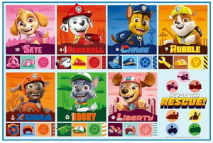 XP[^[Skater qp W[ V[g lp STCY  60×90cm pEEpg[ 25 j̎q VS1-A