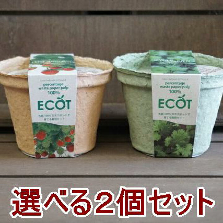 楽天市場 ハーブ 栽培セット 選べる２個セット 栽培キット エコットｓ２個 エコポット おうち時間 家庭菜園 ベランダ菜園 キッチン菜園 エコ プレゼント 誕生日 母の日 父の日 敬老の日 土に還る鉢 ガーデニング雑貨 送料込 Nicoco プランター菜園を楽しむ会