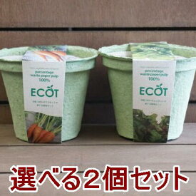 野菜 栽培セット 選べる2個セット 栽培キット エコットM2個 エコポット おうち時間 家庭菜園 ベランダ菜園 エコ プレゼント 誕生日 母の日 父の日 敬老の日 土に還る鉢 ガーデニング雑貨 送料込