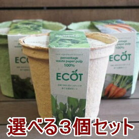 野菜 栽培セット 選べる3個セット 栽培キット エコットM3個 国産 エコポット ミニトマト ラディッシュ 家庭菜園 ベランダ菜園 プレゼント 誕生日 母の日 父の日 土に還る 敬老の日 ガーデニング雑貨 送料込