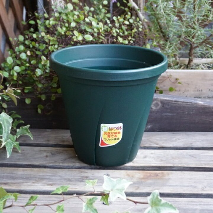 楽天市場 スリット鉢 ６号 根はり鉢６号 ダークグリーン スリット鉢 丸鉢 スリットポット プランター おしゃれ 草 ハーブ 観葉植物 多肉植物 Nicoco プランター菜園を楽しむ会