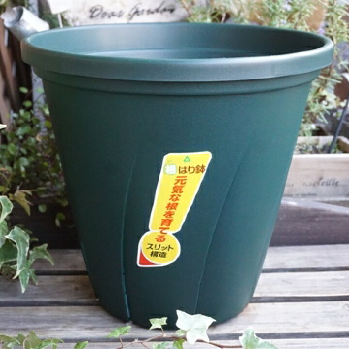 楽天市場 スリット鉢10号 根はり鉢１０号 ダークグリーン スリット鉢 丸鉢 スリットポット プランター おしゃれ ミニトマト ピーマン オクラ キャベツ ブロッコリー Nicoco プランター菜園を楽しむ会
