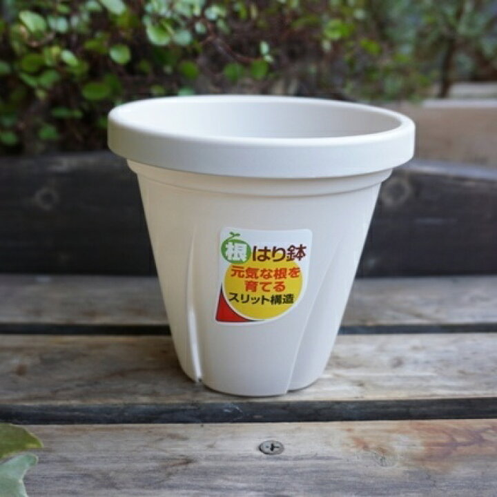 楽天市場 根はり鉢4号 スリット鉢 4号 ホワイト 白 スリット 丸鉢 スリットポット プランター おしゃれ 花 観葉植物 ハーブ 多肉植物 Nicoco プランター菜園を楽しむ会