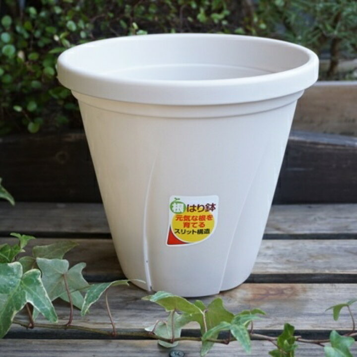 楽天市場 根はり鉢６号 スリット鉢 ホワイト 白 スリット 丸鉢 プランター スリットポット おしゃれ 草花 ハーブ 観葉植物 多肉植物 Nicoco プランター菜園を楽しむ会
