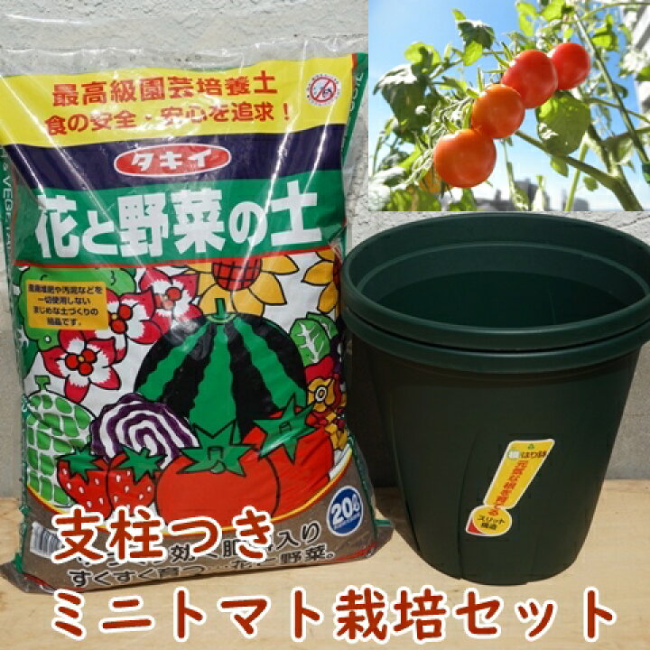 楽天市場 22年終了しました 有機種子で育てるミニトマト栽培セット 支柱付き 栽培キット ミニトマト 育て方付き タキイ 土 スリット鉢 野菜 セット キット 家庭菜園 ベランダ菜園 プランター菜園 オーガニック ガーデニング雑貨 送料込 Nicoco プランター菜園を