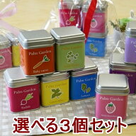 栽培セット 野菜とハーブの栽培キット 小さな栽培セット 「パームガーデン」選べる3個セット おうち時間 …