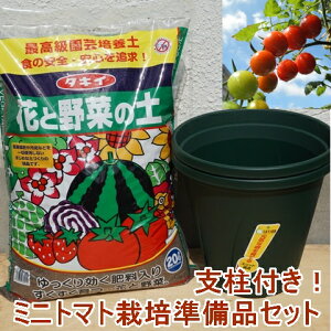 ミニトマト 鉢 種の人気商品 通販 価格比較 価格 Com