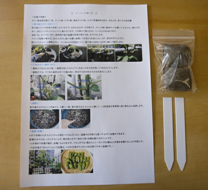 楽天市場 有機種子で育てるピーマン栽培セット 支柱付き 栽培キット 赤ピーマン 育て方付き タキイ 土 スリット鉢 野菜 セット キット 家庭菜園 ベランダ菜園 プランター菜園 オーガニック ガーデニング雑貨 送料込 Nicoco プランター菜園を楽しむ会