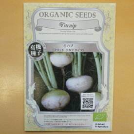 楽天市場 野菜の種子 種類 植物 カブ 種子 ガーデニング 農業 花 ガーデン Diyの通販