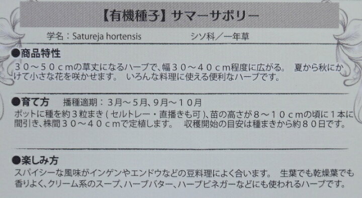 ホップ ワイルド ハーブの種 当店一番人気