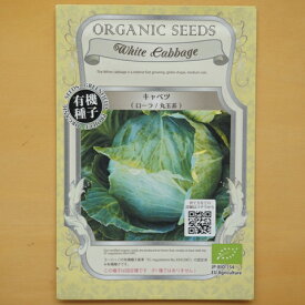 楽天市場 メール便 種類 植物 キャベツ 野菜の種子 種子 ガーデニング 農業 花 ガーデン Diyの通販 楽天市場 メール便 種類 植物 キャベツ 野菜の種子 種子 ガーデニング 農業 花 ガーデン Diyの通販