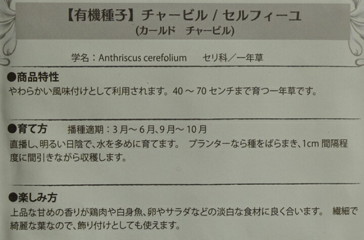 市場 有機種子 ハーブ 種子 オーガニック 固定種 種 アルグラ セルバチコ グリーンフィールドプロジェクト ワイルドロケット ルッコラ 市場 有機種子 ハーブ 種子 オーガニック 固定種 種 アルグラ セルバチコ グリーンフィールドプロジェクト ワイルドロケット ルッコラ
