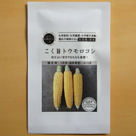 楽天市場 もち とうもろこし 種の通販
