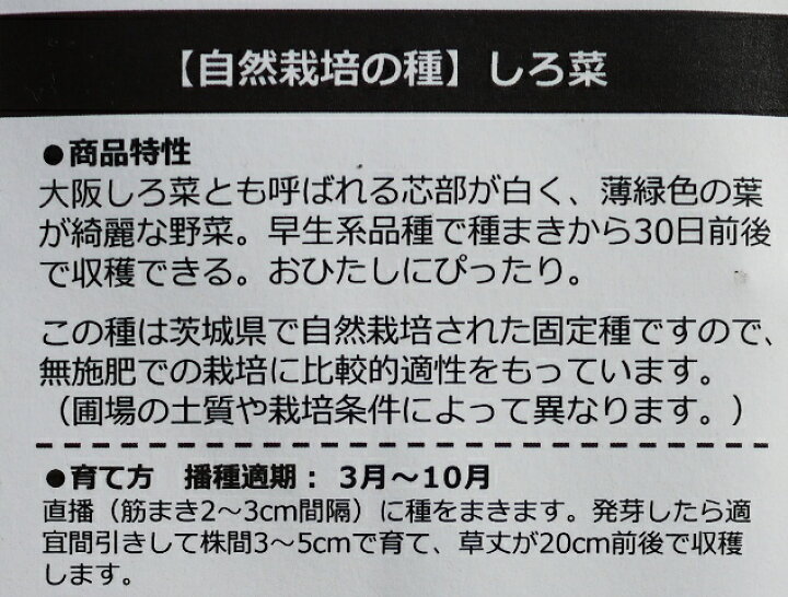 市場 有機種子 ハーブ 種子 オーガニック 固定種 種 アルグラ セルバチコ グリーンフィールドプロジェクト ワイルドロケット ルッコラ 市場 有機種子 ハーブ 種子 オーガニック 固定種 種 アルグラ セルバチコ グリーンフィールドプロジェクト ワイルドロケット ルッコラ