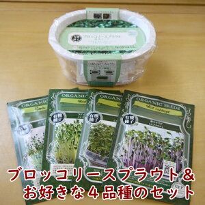 種 野菜 栽培 セットの通販 価格比較 価格 Com