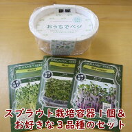 スプラウト栽培容器1個と種を3個選べるセット おうちでベジ スプラウト栽培セット スプラウト栽培キット …