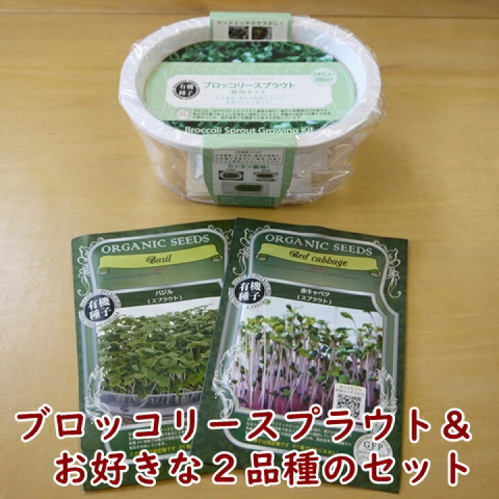 273円 【使い勝手の良い】 オーガニックブロッコリースプラウト 3袋セット 273円 【使い勝手の良い】 オーガニックブロッコリースプラウト 3袋セット
