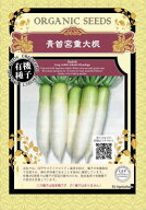 有機種子 固定種 青首宮重大根 40粒 種 大根 在来種 野菜 種子 ダイコン 青首大根 オーガニック グリーン…