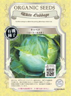 有機種子 固定種 キャベツ ローラ 丸玉系 90粒 種 野菜 種子 オーガニック グリーンフィールドプロジェク…