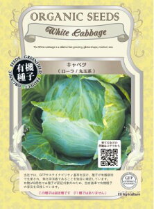 L@q Œ Lxc [ ۋʌn 90   q I[KjbN O[tB[hvWFNg ǐՉ\[֑Iy2026N11z