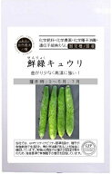 自然農法の種 固定種 鮮緑キュウリ 8粒 有機栽培の種 きゅうり 国産 野菜 種子 オーガニック グリーンフ…