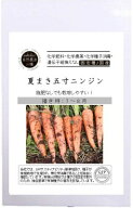 有機種子 固定種 夏まき五寸ニンジン 0.7g 有機栽培の種 にんじん 種 国産 野菜 種子 オーガニック グリ…