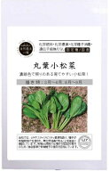 有機種子 固定種 丸葉小松菜 0.5g 自然栽培の種 コマツナ 種 国産 野菜 種子 オーガニック グリーンフィ…