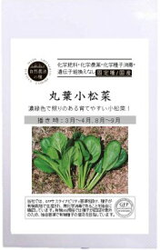 有機種子 固定種 丸葉小松菜 0.5g 自然栽培の種 コマツナ 種 国産 野菜 種子 オーガニック グリーンフィールドプロジェクト 追跡可能メール便選択可【2026年11月期限】