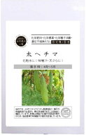 自然農法の種 有機種子 固定種 太ヘチマ 80粒 種 へちま 国産 自然栽培 野菜 種子 国産 オーガニック グ…