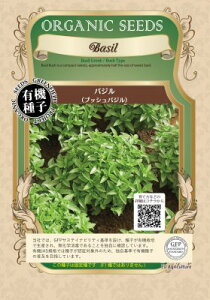 L@q Œ O[NoW ubVoW 500  n[u q I[KjbN O[tB[hvWFNg ǐՉ\[֑Iy2026N5z