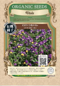 L@q Œ rI/3FX~ gR[ 160  n[u GfBut[ Hp q I[KjbN O[tB[hvWFNg ǐՉ\[֑I y2026N5z