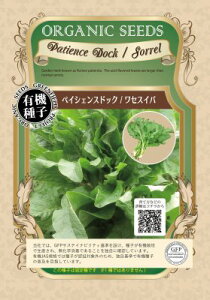 �L�@��q �Œ�� �y�C�V�F���X�h�b�N ���Z�X�C�o 0.2g �� �I�[�C�� �n�[�u ��q �I�[�K�j�b�N �O���[���t�B�[���h�v���W�F�N�g �ǐՉ\���[���֑I���y2026�N11�������z