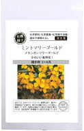 有機種子 固定種 ミントマリーゴールド 50粒 種 エディブルフラワー 食用花 ハーブ 種子 オーガニック グ…