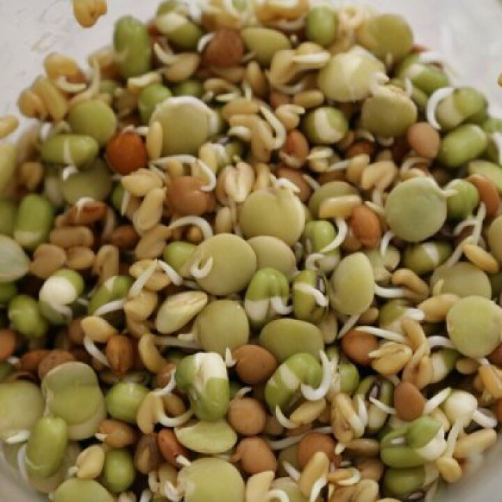 楽天市場】有機ミックス豆 120g 固定種 発芽豆 発芽野菜 有機豆 スプラウト 有機種子 豆スプラウト スーパーフード ローフード ヴィーガン オーガニック グリーンフィールドプロジェクト 追跡可能メール便選択可 : Nicoco プランター菜園を楽しむ会 楽天市場】有機ミックス豆 120g 固定種 発芽豆 発芽野菜 有機豆 スプラウト 有機種子 豆スプラウト スーパーフード ローフード ヴィーガン オーガニック グリーンフィールドプロジェクト 追跡可能メール便選択可 : Nicoco プランター菜園を楽しむ会