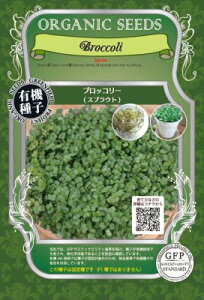 L@q Œ ubR[ XvEg 12g    ƉuUP }CNO[ q I[KjbN O[tB[hvWFNg ǐՉ\[֑Iy܁zy2026