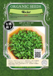 L@q Œ Pbg/bR XvEg 350g    ƉuUP }CNO[ q I[KjbN O[tB[hvWFNg ǐՉ\[֑Iy