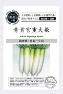 有機種子 固定種 青首宮重大根 40粒 種 大根 在来種 野菜 種子 ダイコン 青首大根 オーガニック グリーン…