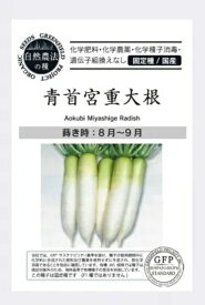 有機種子 固定種 青首宮重大根 40粒 種 大根 在来種 野菜 種子 ダイコン 青首大根 オーガニック グリーンフィールドプロジェクト 追跡可能メール便選択可【小袋】【2027年5月期限】